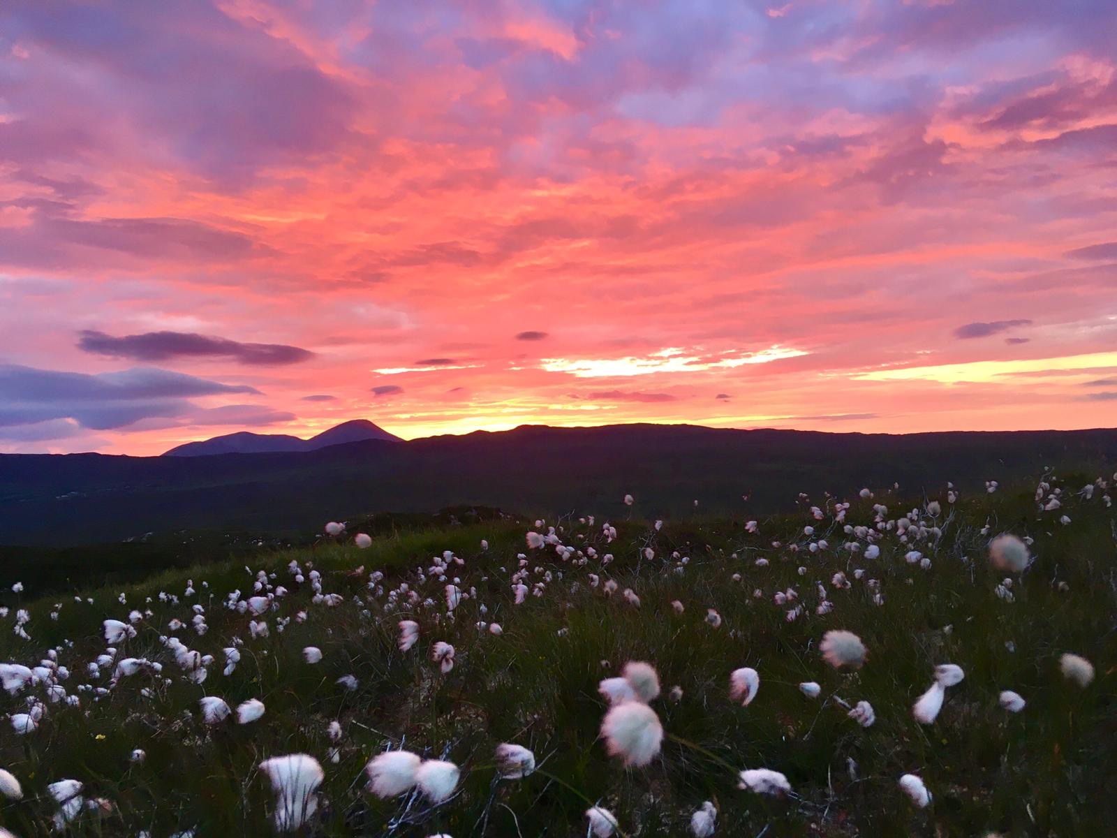 Featured image for “Covid Ready at Wildlife Croft Skye”