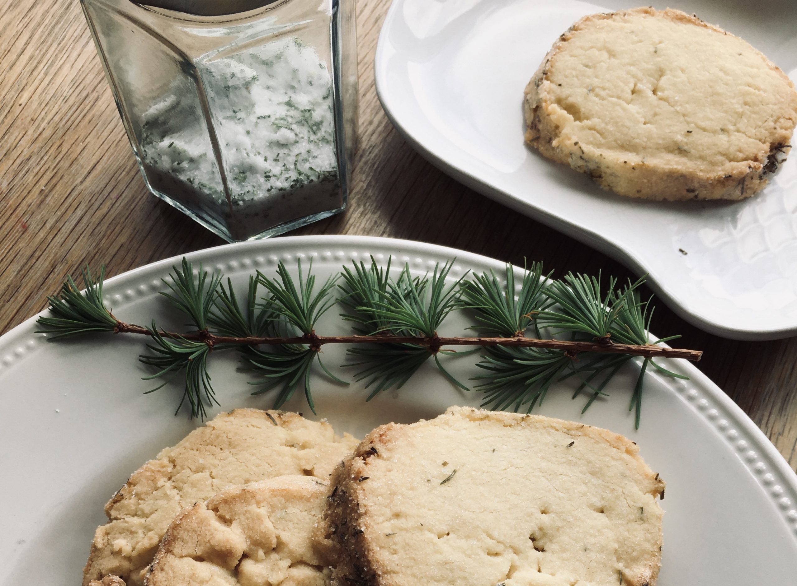 Featured image for “Wild Food Larch Shortbread Recipe”