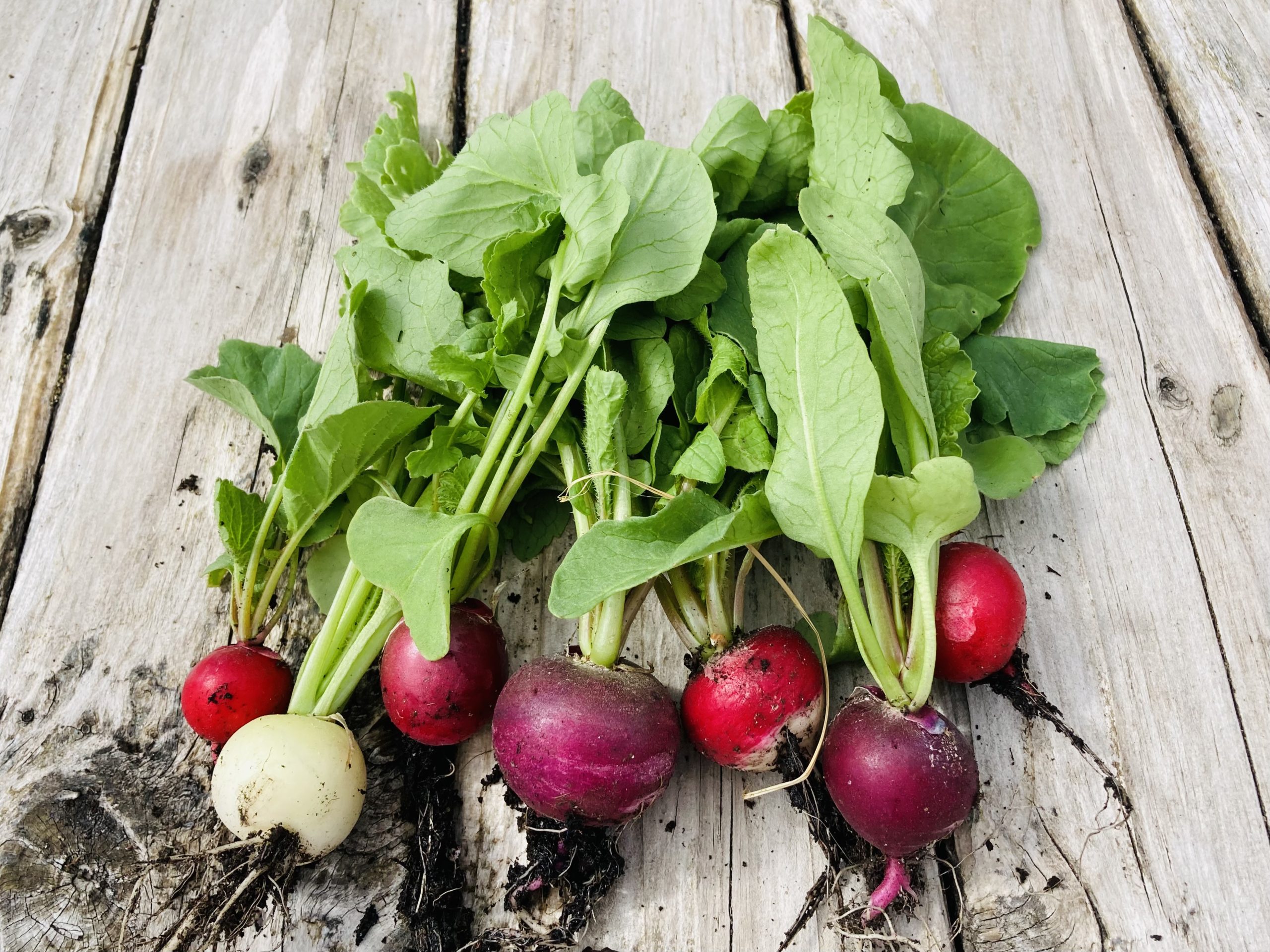 Featured image for “Summer 2023”